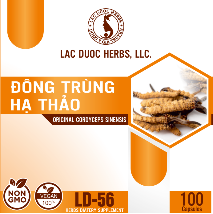 ĐÔNG TRÙNG HẠ THẢO (ORIGINAL CORDYCEPS SINENSIS) LD-56