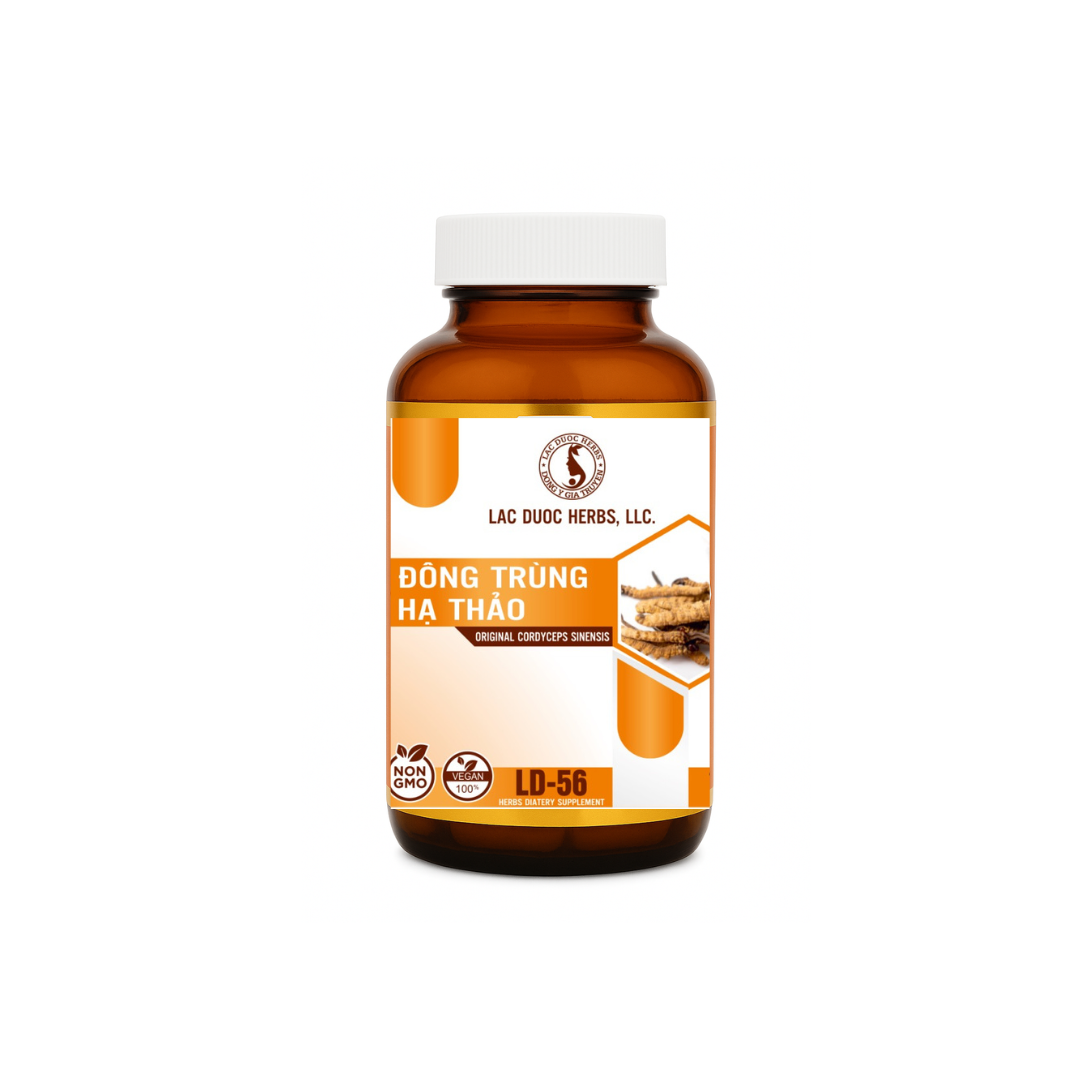 ĐÔNG TRÙNG HẠ THẢO (ORIGINAL CORDYCEPS SINENSIS) LD-56